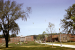 Campus Views (1963) #6