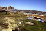 Campus Views (Undated) #4