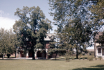 Faculty Row (1963) #1