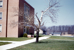 Hall Memorial Building (1960) #4