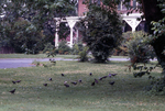 President's House (1969)