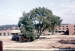 Student Union Building / Ely Center (1960) #1