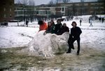 Snow Sculpture (1975) #12